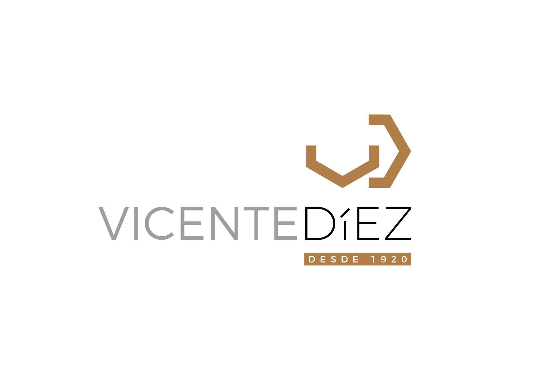 Logo Vicente Díez